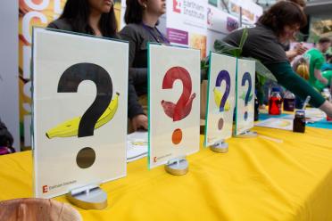 Four A4 boards with large question marks that spin around to reveal illustrations of bananas