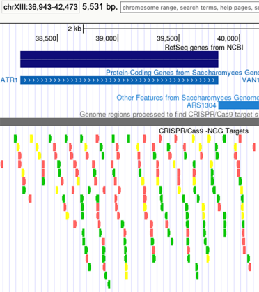 Screenshot of the UCSC browser targets discussed above